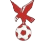 https://img.fenghui6.com/img/football/team/4802d26df935b78bb2fcdbbff36e8864.png